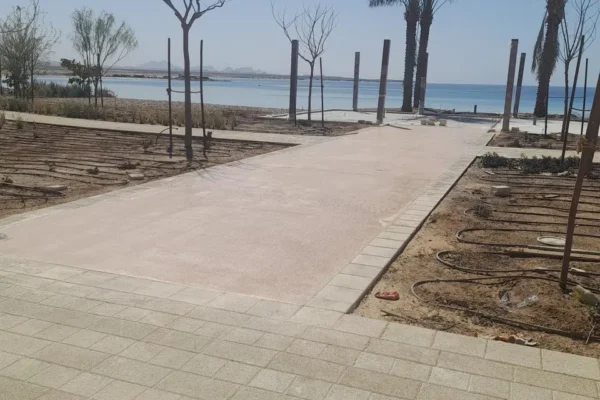 WhatsApp Image 2025-05-14 at 11.26.40_ffe67eb1