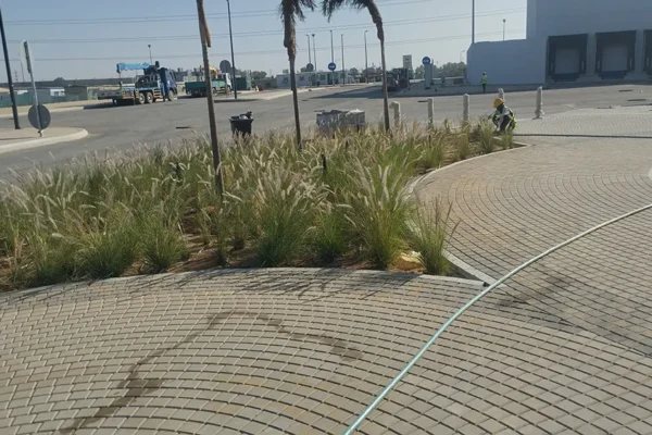 WhatsApp Image 2025-06-06 at 8.07.24 AM