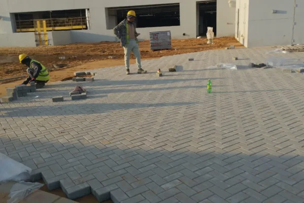 WhatsApp Image 2025-06-22 at 3.54.50 PM