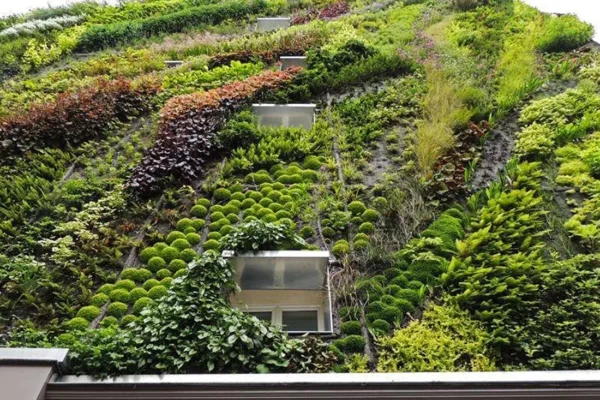 tlc_0002_232854492_0_84_920_605_2072x0_60_0_0_77cb5ef3eef607ab8d62532f7a7c5e1d