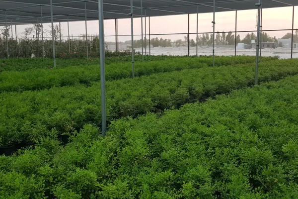 tlc_0003_20210821_175230