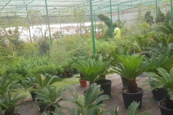 tlc_0005_20210413_103213