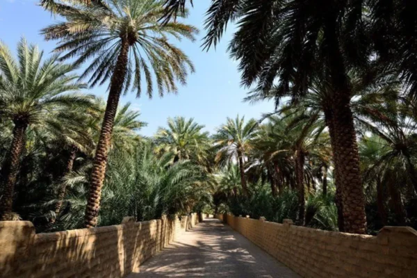 tlc_0008_5f71aa6f22cfb875a87a4228.1600x1200