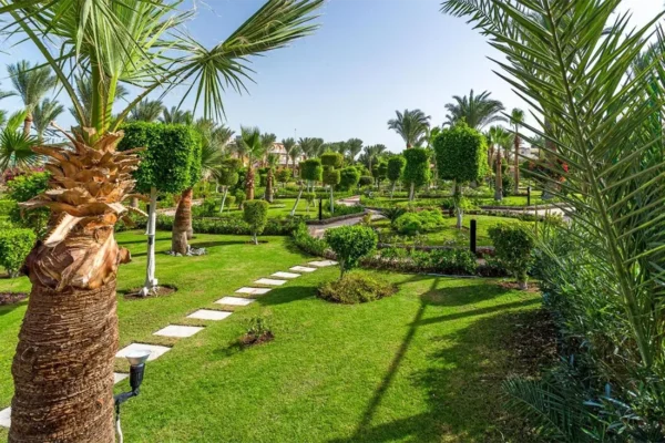 tlc_0014_4d80b2d2b8fe1fae3a2f2f76e935b466-thumb-1920x0-crop