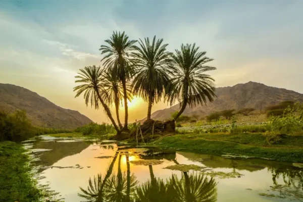 tlc_0017_Tourist-Areas-In-The-Kingdom-Of-Saudi-Arabia-2023