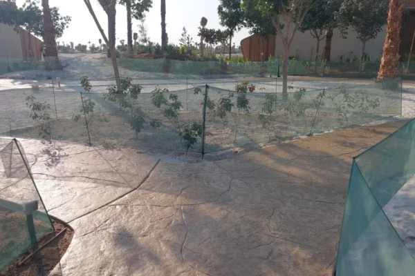 PHOTO-2025-11-06-09-50-34 3