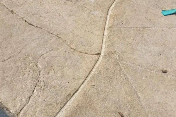 PHOTO-2025-11-06-09-50-35