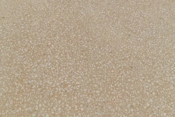 PHOTO-2025-11-06-09-50-37 2