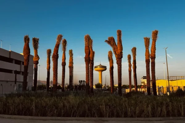 PHOTO-2025-11-07-14-52-01 2