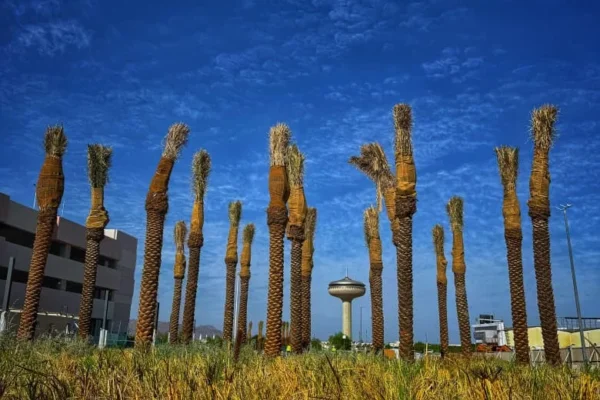 PHOTO-2025-11-07-14-52-01 4