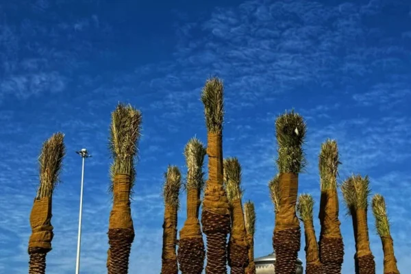 PHOTO-2025-11-07-14-52-01 5