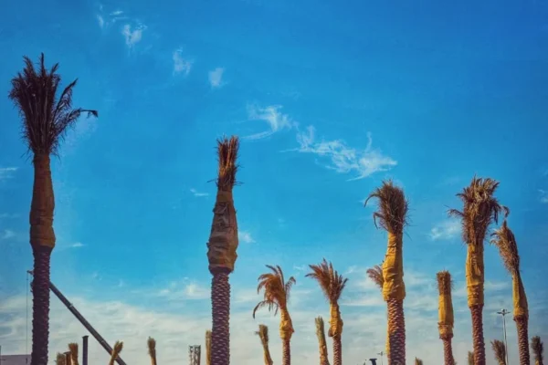 PHOTO-2025-11-07-14-52-01