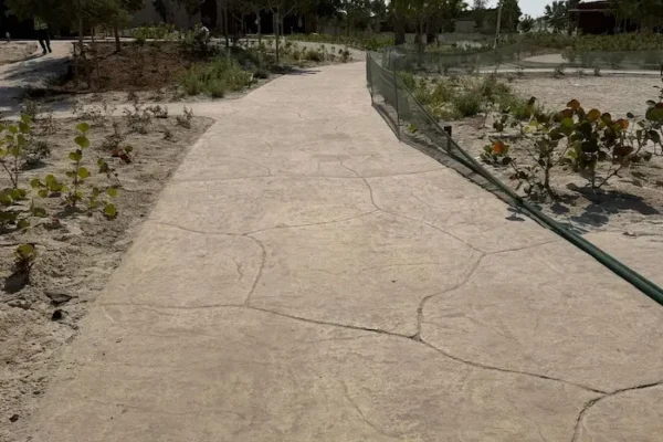 WhatsApp Image 2025-11-18 at 13.19.51 copy