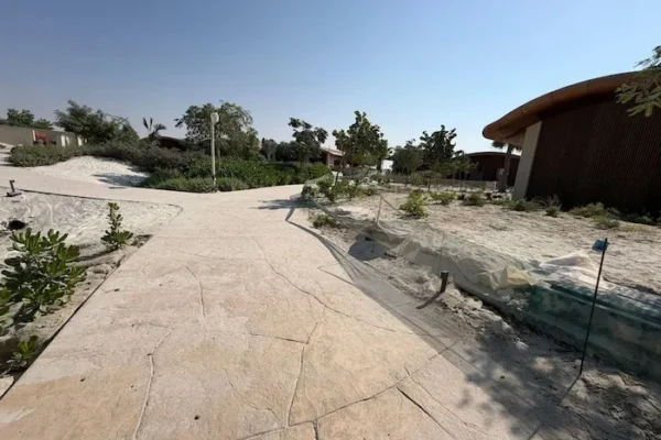 WhatsApp Image 2025-11-18 at 13.19.52 (1) copy