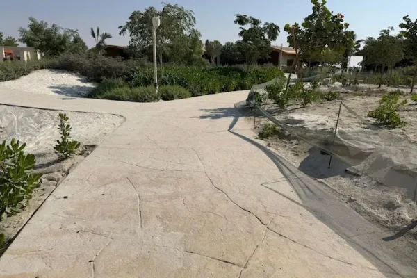 WhatsApp Image 2025-11-18 at 13.19.52 (3) copy