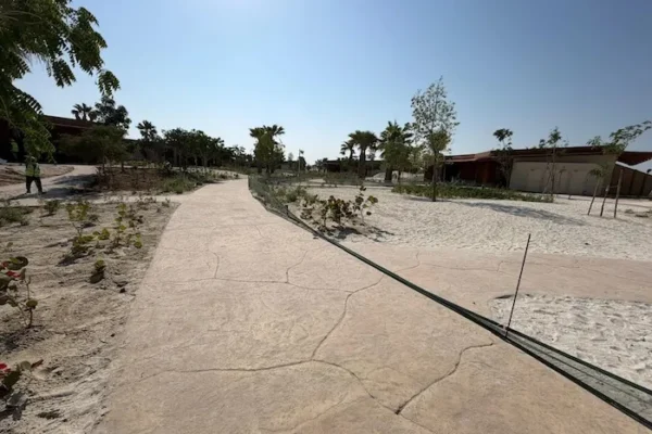 WhatsApp Image 2025-11-18 at 13.19.52 (5) copy