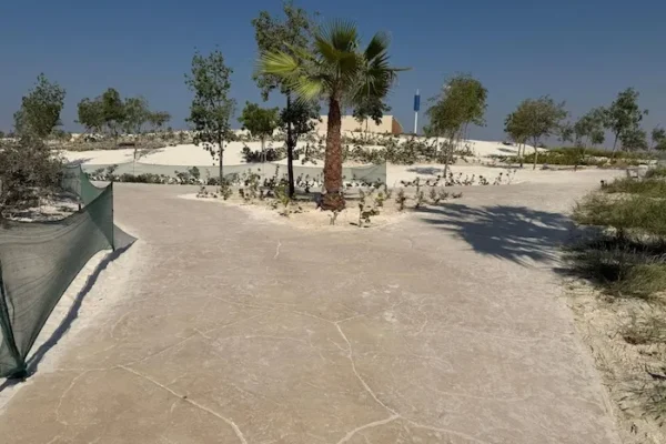 WhatsApp Image 2025-11-18 at 13.19.52 copy