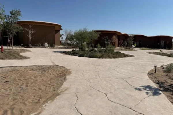 WhatsApp Image 2025-11-18 at 13.19.53 (1) copy