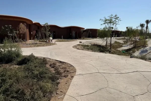 WhatsApp Image 2025-11-18 at 13.19.53 (2) copy