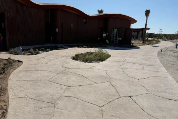 WhatsApp Image 2025-11-18 at 13.19.53 (3) copy