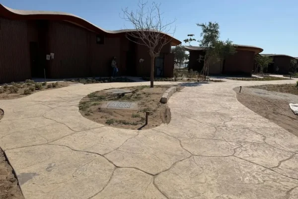 WhatsApp Image 2025-11-18 at 13.19.53 (4) copy