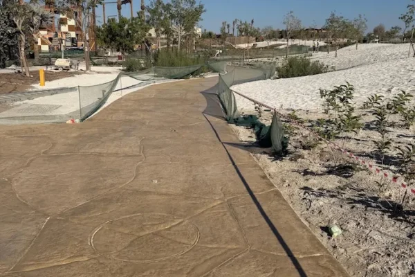 WhatsApp Image 2025-11-18 at 13.19.54 (2) copy