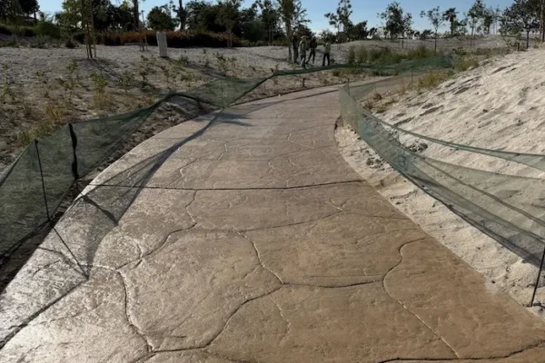 WhatsApp Image 2025-11-18 at 13.19.54 (3) copy