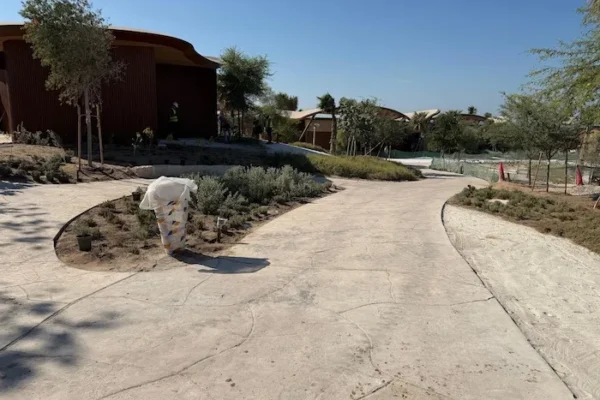 WhatsApp Image 2025-11-18 at 13.19.54 copy