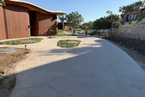 WhatsApp Image 2025-11-18 at 13.19.55 (1) copy