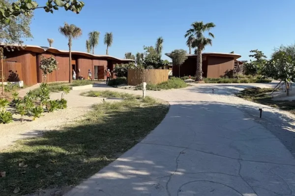 WhatsApp Image 2025-11-18 at 13.19.55 (2) copy