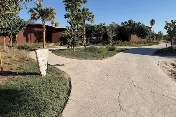 WhatsApp Image 2025-11-18 at 13.19.55 copy