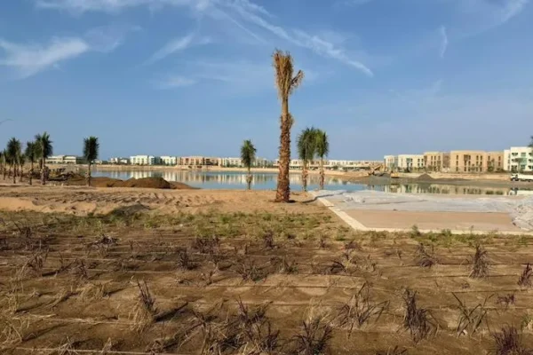 WhatsApp Image 2025-12-03 at 08.02.17