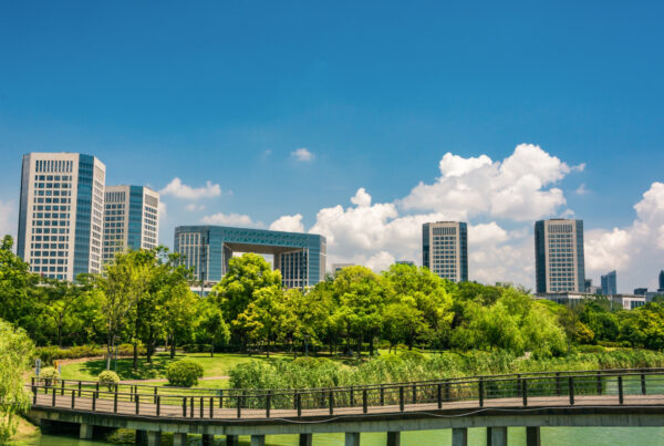 Bringing biodiversity into modern city projects through sustainable urban landscape design