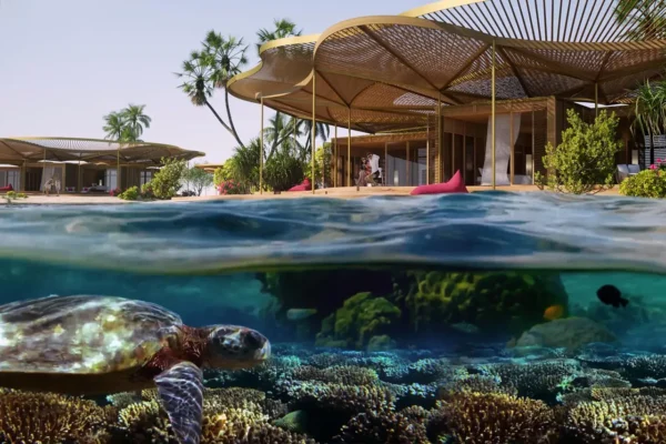 3D landscape design for Shura Island
