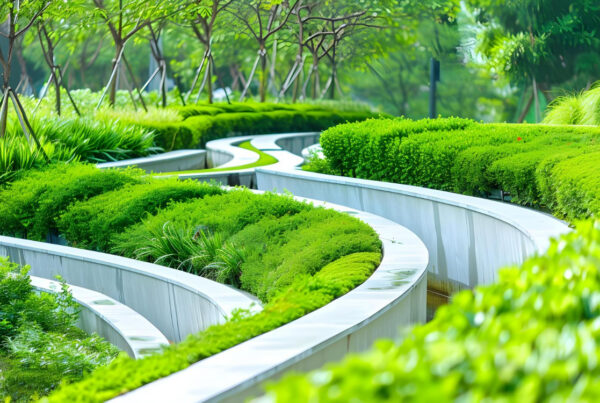 sustainable landscaping in Saudi Arabia