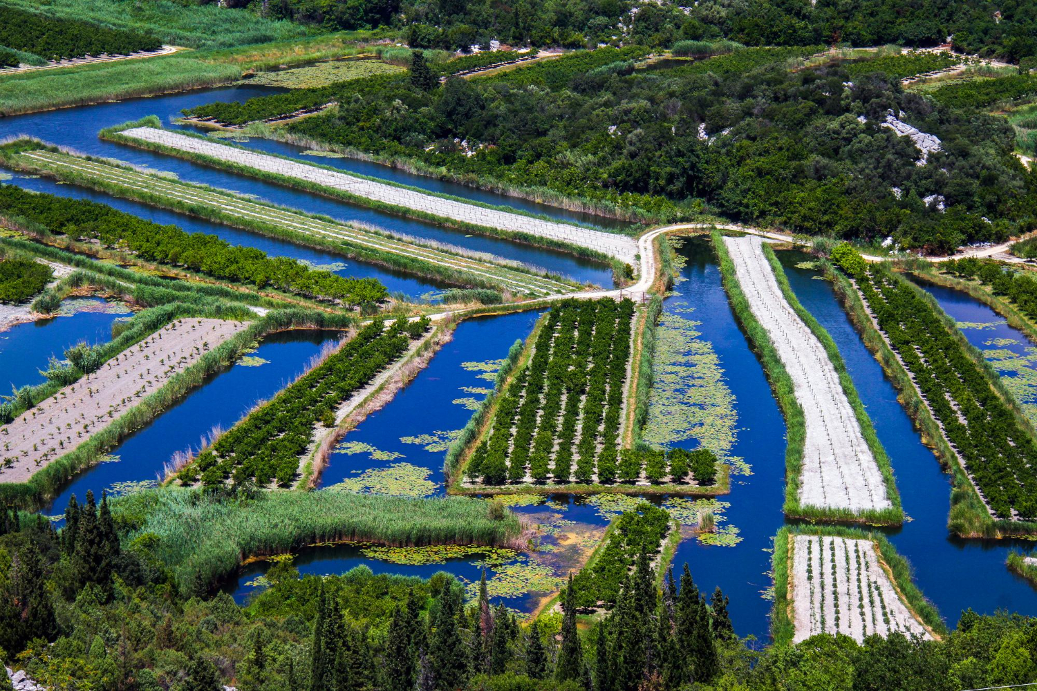 water-efficient irrigation
