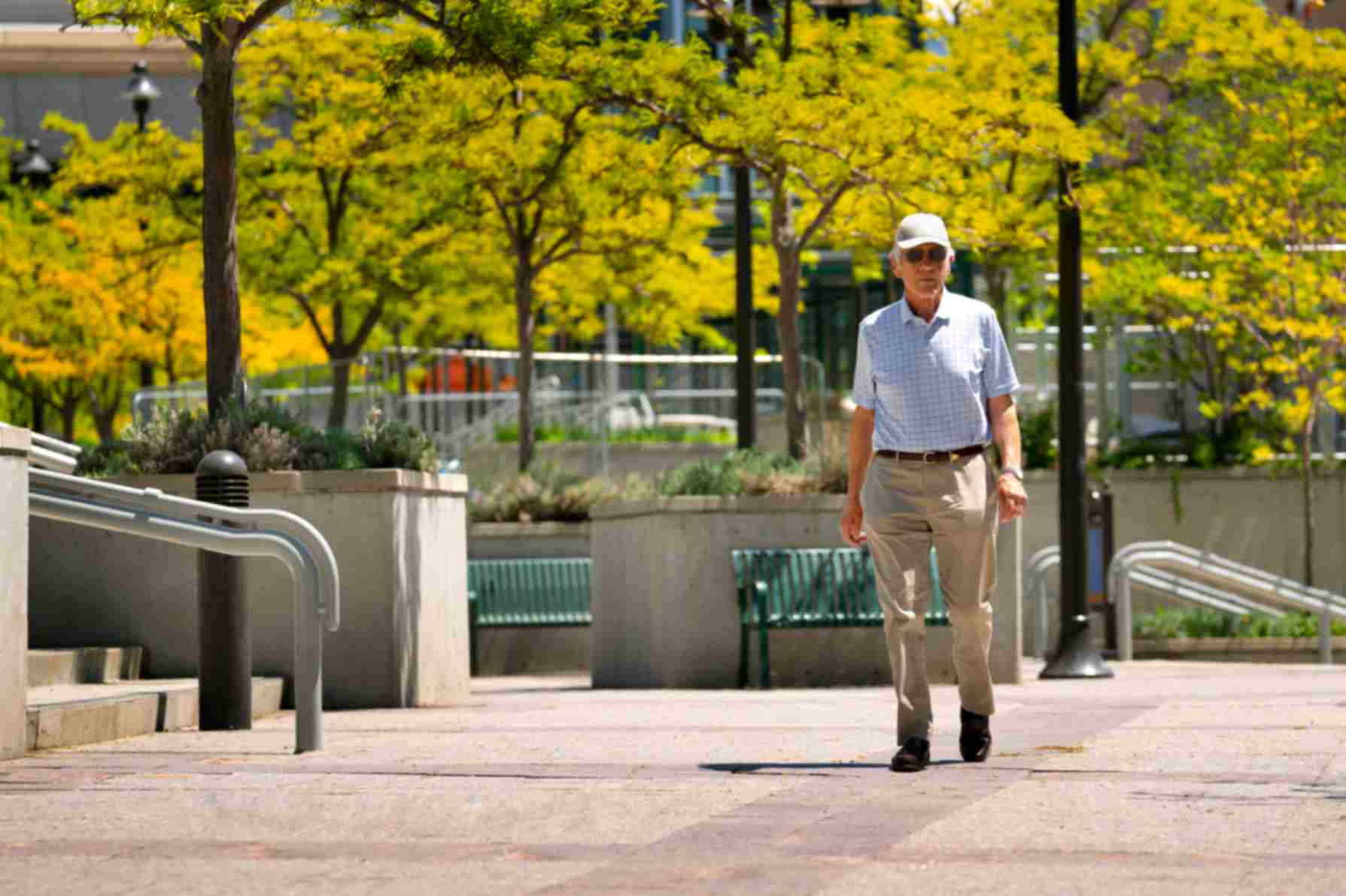 beautiful pedestrian pathways